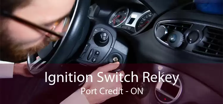 Ignition Switch Rekey Port Credit - ON