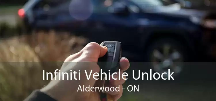 Infiniti Vehicle Unlock Alderwood - ON