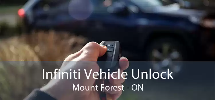 Infiniti Vehicle Unlock Mount Forest - ON