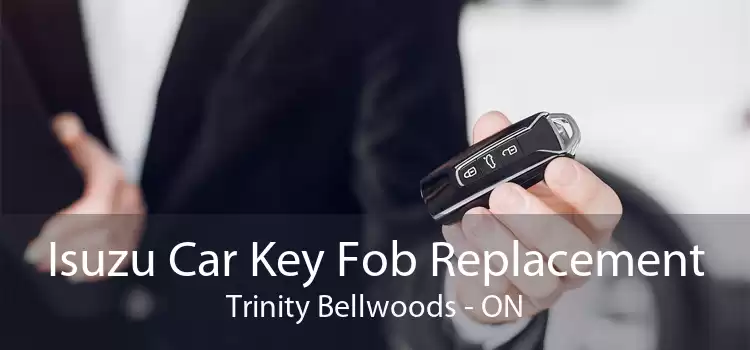 Isuzu Car Key Fob Replacement Trinity - Bellwoods - ON