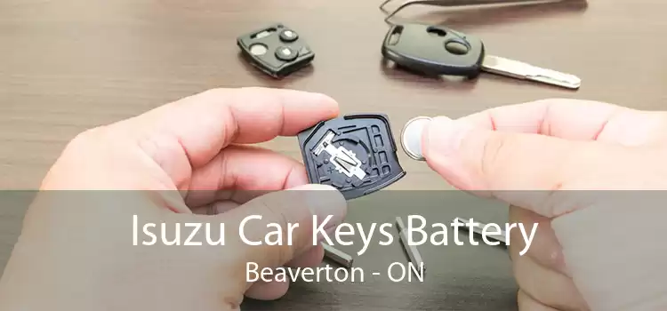 Isuzu Car Keys Battery Beaverton - ON