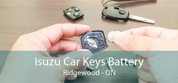 Isuzu Car Keys Battery Ridgewood - ON