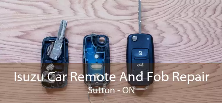 Isuzu Car Remote And Fob Repair Sutton - ON