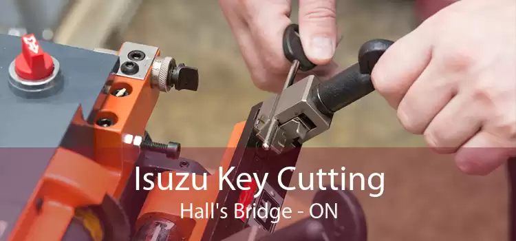 Isuzu Key Cutting Hall's Bridge - ON