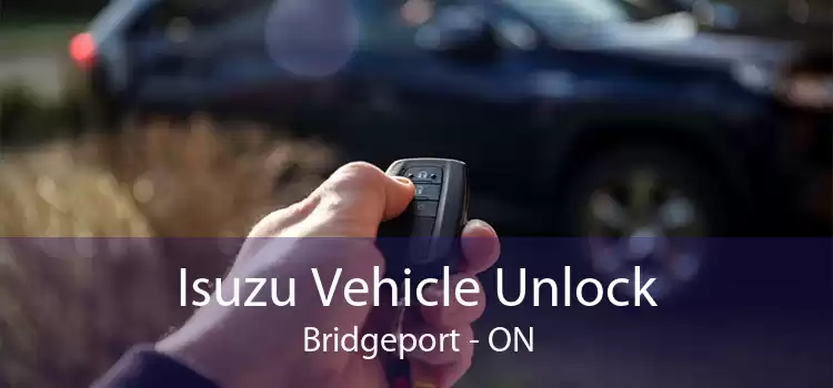 Isuzu Vehicle Unlock Bridgeport - ON
