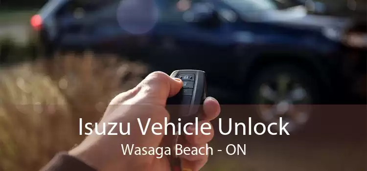 Isuzu Vehicle Unlock Wasaga Beach - ON
