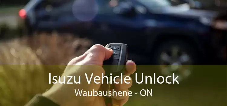 Isuzu Vehicle Unlock Waubaushene - ON