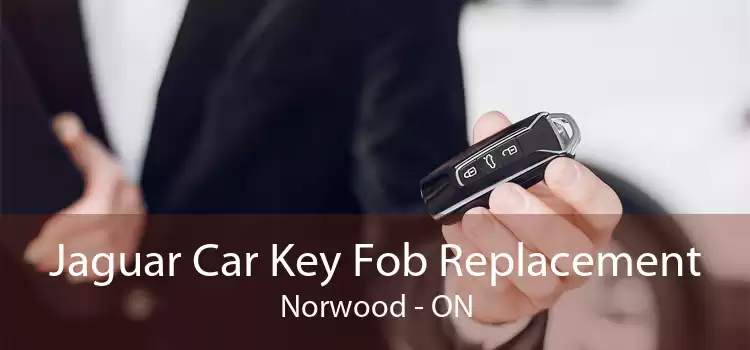 Jaguar Car Key Fob Replacement Norwood - ON