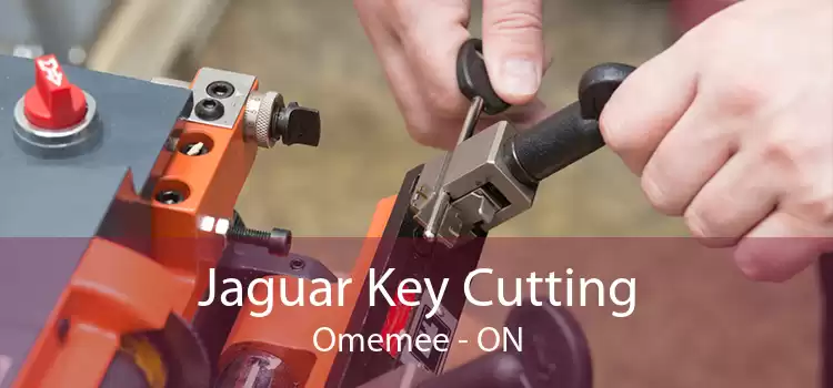 Jaguar Key Cutting Omemee - ON