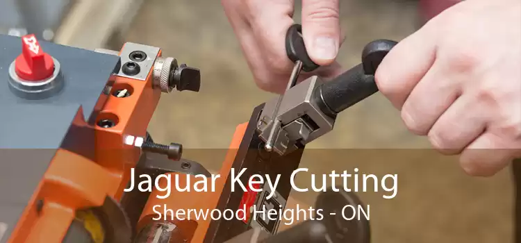 Jaguar Key Cutting Sherwood Heights - ON