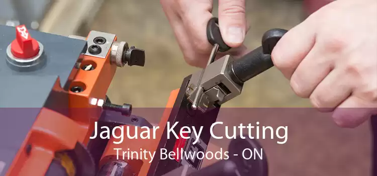 Jaguar Key Cutting Trinity - Bellwoods - ON