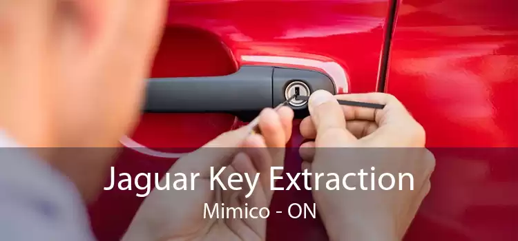 Jaguar Key Extraction Mimico - ON