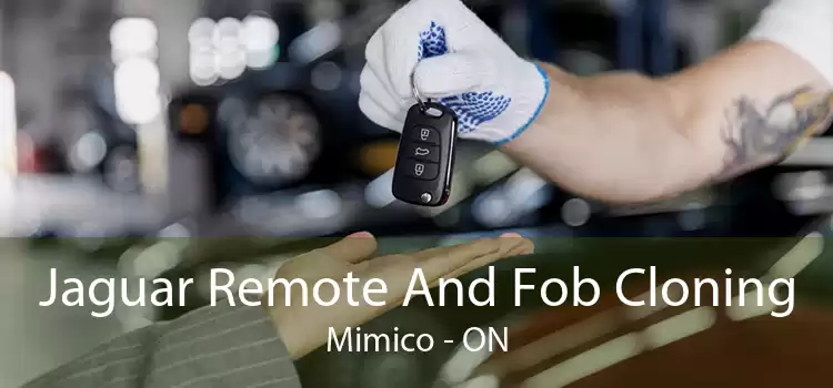 Jaguar Remote And Fob Cloning Mimico - ON