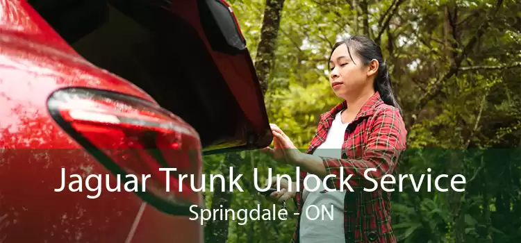 Jaguar Trunk Unlock Service Springdale - ON