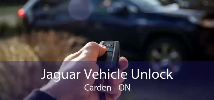 Jaguar Vehicle Unlock Carden - ON