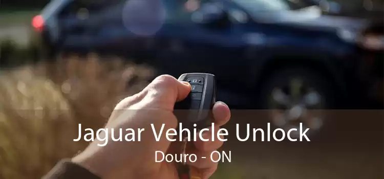 Jaguar Vehicle Unlock Douro - ON