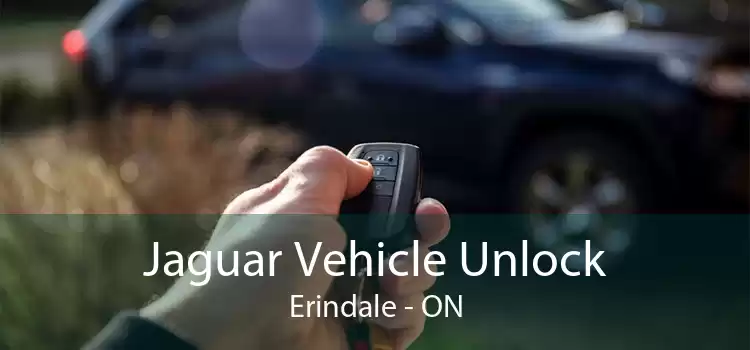 Jaguar Vehicle Unlock Erindale - ON