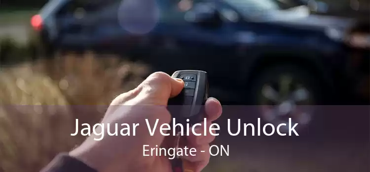Jaguar Vehicle Unlock Eringate - ON
