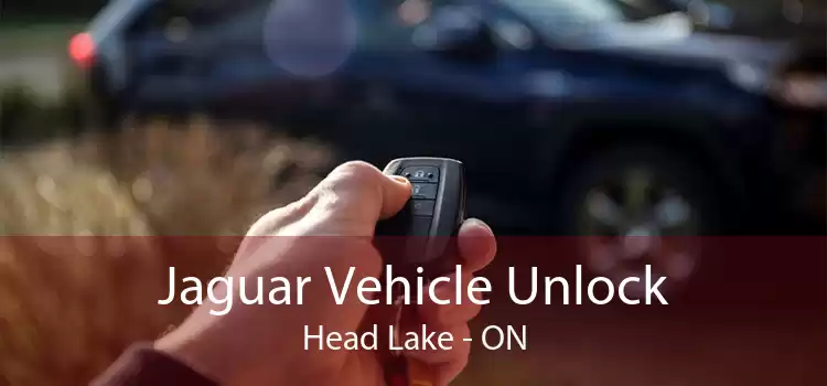 Jaguar Vehicle Unlock Head Lake - ON