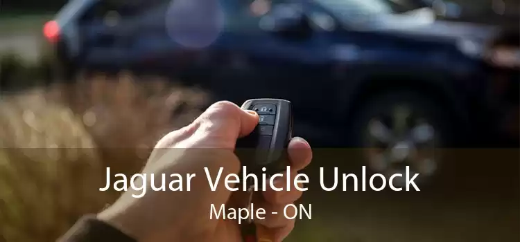 Jaguar Vehicle Unlock Maple - ON