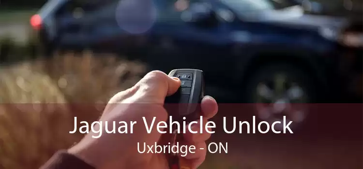 Jaguar Vehicle Unlock Uxbridge - ON