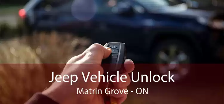 Jeep Vehicle Unlock Matrin Grove - ON
