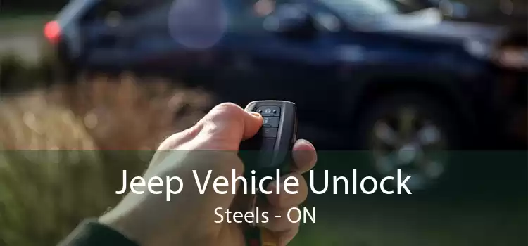 Jeep Vehicle Unlock Steels - ON