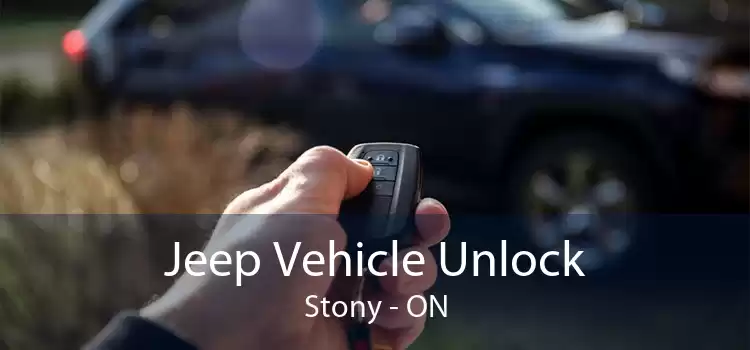 Jeep Vehicle Unlock Stony - ON