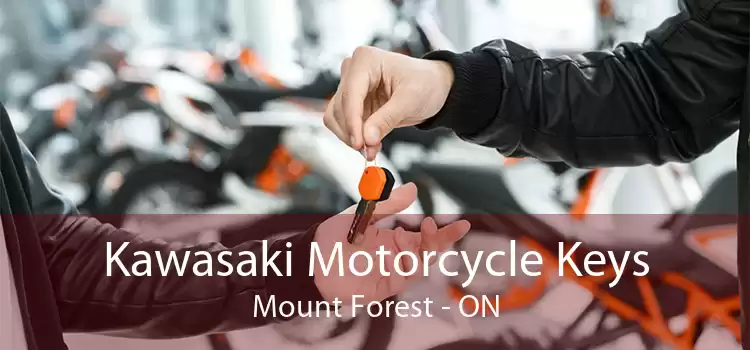 Kawasaki Motorcycle Keys Mount Forest - ON