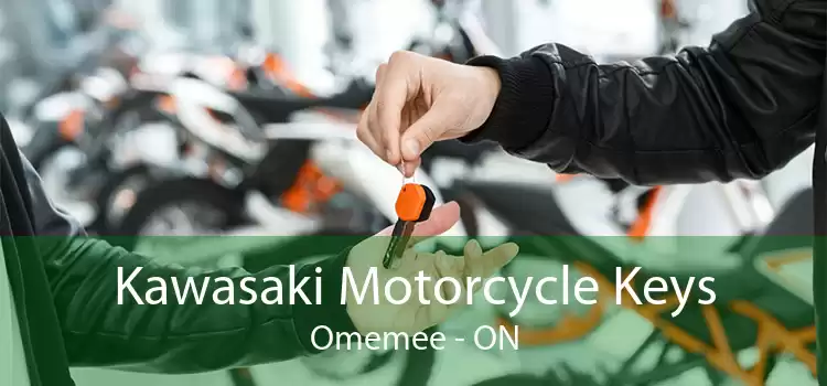 Kawasaki Motorcycle Keys Omemee - ON