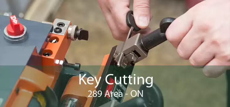 Key Cutting 289 Area - ON