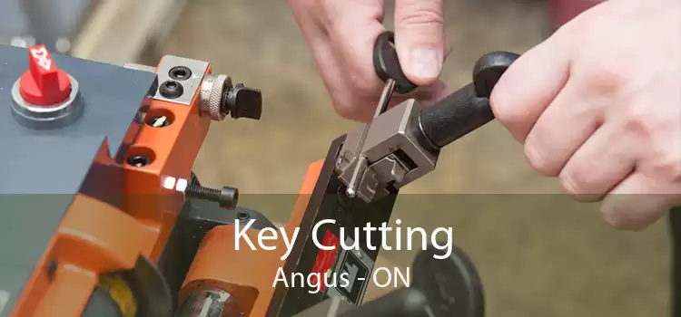 Key Cutting Angus - ON