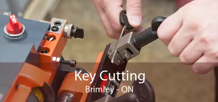 Key Cutting Brimley - ON