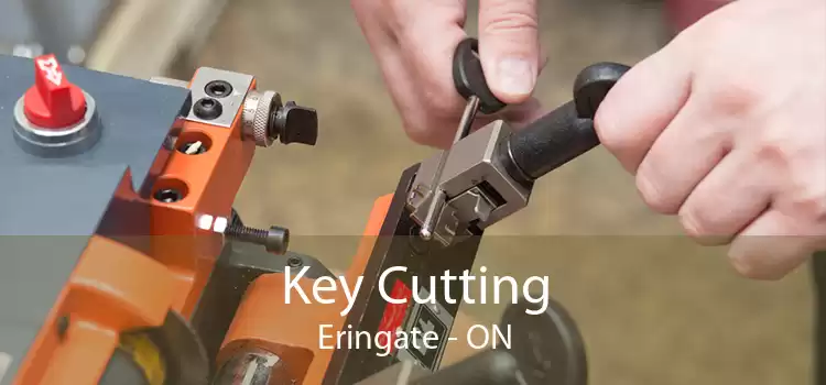 Key Cutting Eringate - ON