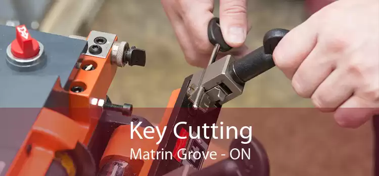 Key Cutting Matrin Grove - ON