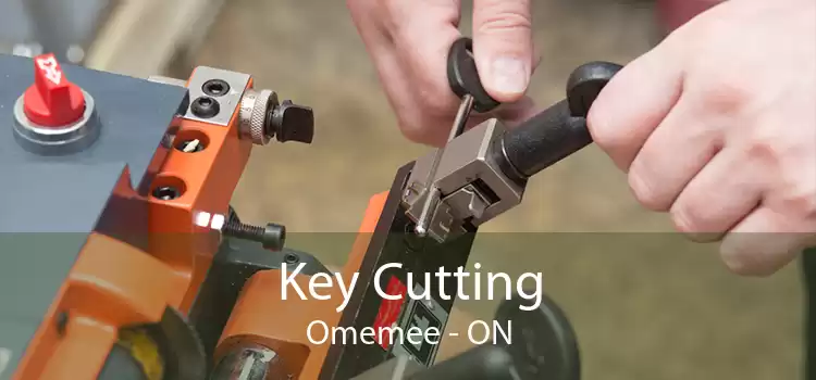 Key Cutting Omemee - ON
