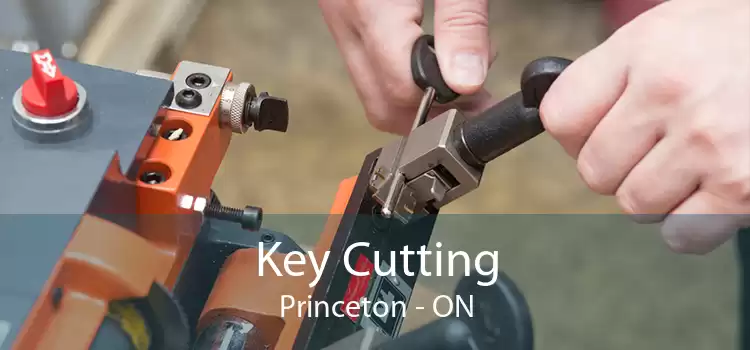Key Cutting Princeton - ON