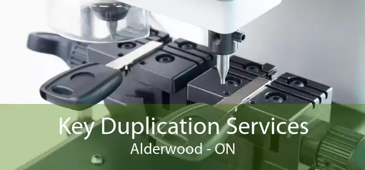 Key Duplication Services Alderwood - ON