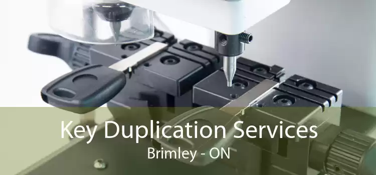 Key Duplication Services Brimley - ON