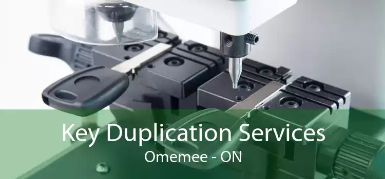 Key Duplication Services Omemee - ON