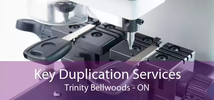 Key Duplication Services Trinity - Bellwoods - ON