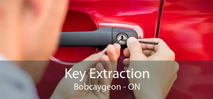 Key Extraction Bobcaygeon - ON