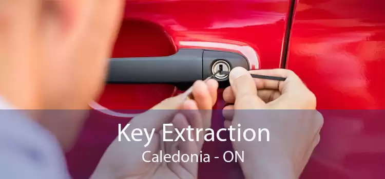Key Extraction Caledonia - ON