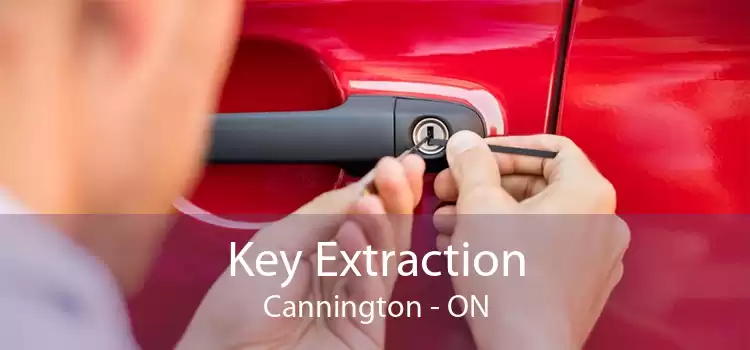 Key Extraction Cannington - ON