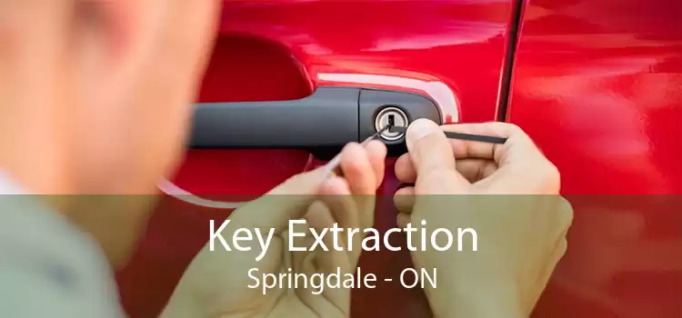 Key Extraction Springdale - ON