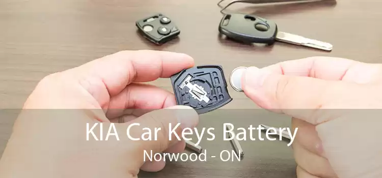 KIA Car Keys Battery Norwood - ON
