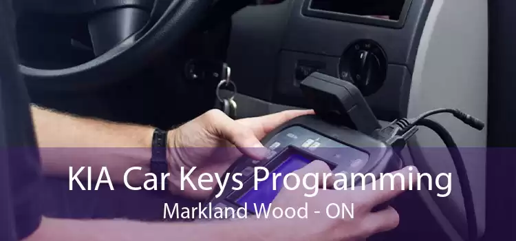 KIA Car Keys Programming Markland Wood - ON