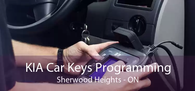 KIA Car Keys Programming Sherwood Heights - ON