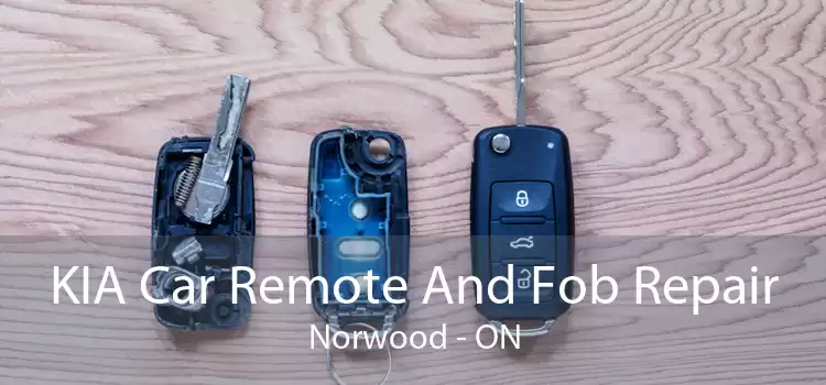 KIA Car Remote And Fob Repair Norwood - ON