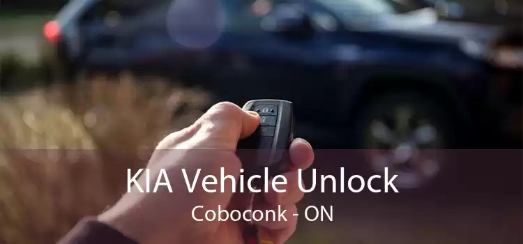 KIA Vehicle Unlock Coboconk - ON